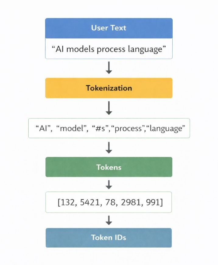 Illustration showing how text is segmented into tokens and converted into token IDs during the tokenization process in AI language models.