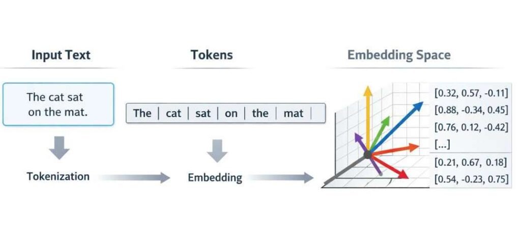 Transformation of input text into tokens followed by embedding into numerical vector representations within an embedding space